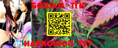 прущие грибы Новокубанск