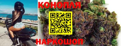 наркотики Новозыбков