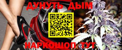 прущие грибы Новокубанск