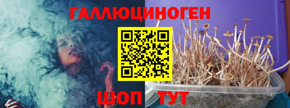 Псилоцибиновые грибы Magic Shrooms  Вход с VPN  Галлюциногенные грибы прущие грибы  Тольятти 